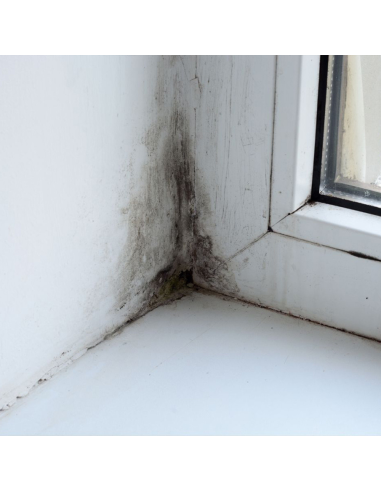 Protettivo Trasparente Antimicrobico Annerimento Muri N.AG PLUS spray 500 ml