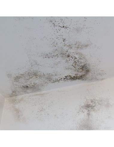 Protettivo Trasparente Antimicrobico Annerimento Muri N.AG PLUS spray 500 ml