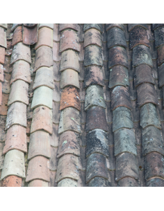 Protettivo traspirante Idrorepellente Oleorepellente Base Acqua No Smog da 1 lt  2