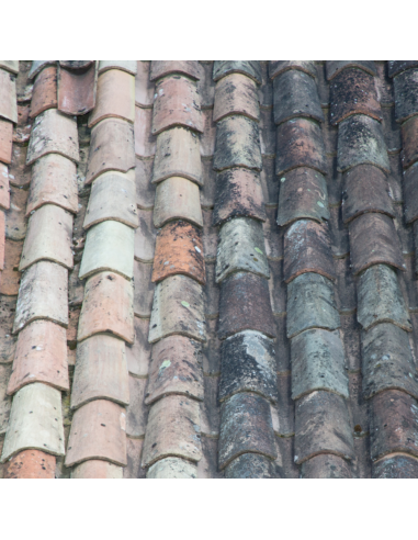 Protettivo traspirante Idrorepellente Oleorepellente Base Acqua No Smog da 1 lt 