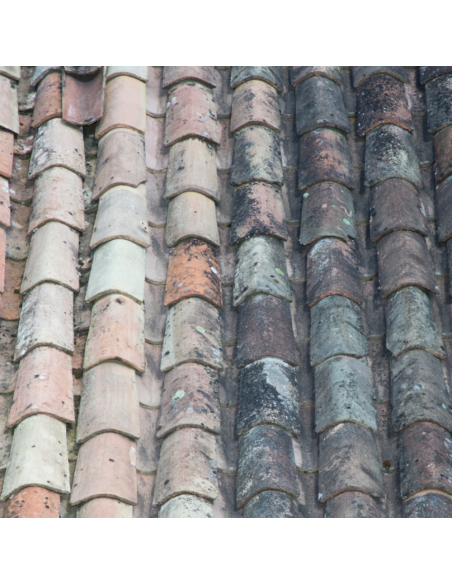 Protettivo traspirante Idrorepellente Oleorepellente Base Acqua No Smog da 1 lt 