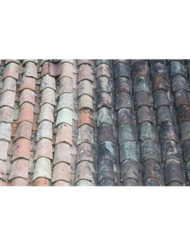 Protettivo Traspirante Idrorepellente Oleorepellente Base Acqua No Smog 5 lt 