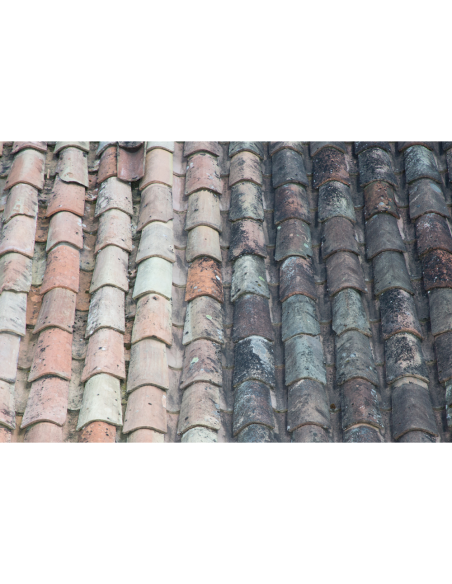 Protettivo Traspirante Idrorepellente Oleorepellente Base Acqua No Smog 5 lt 