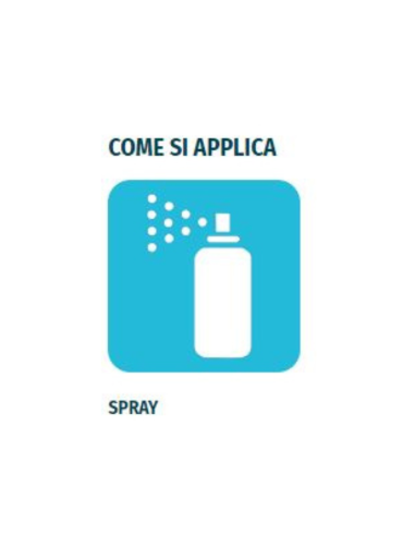 Smacchiatore Rapido Spray Macchie Grasso Unto Ostinato Olio  Confezione 200 ml 