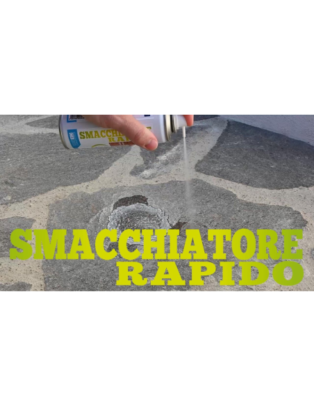 Smacchiatore Rapido Spray Macchie Grasso Unto Ostinato Olio  Confezione 200 ml 