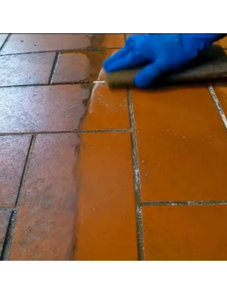 Solvente Decerante Rimozione Trattamenti Pavimentazione Decersolvente Extra 5 lt