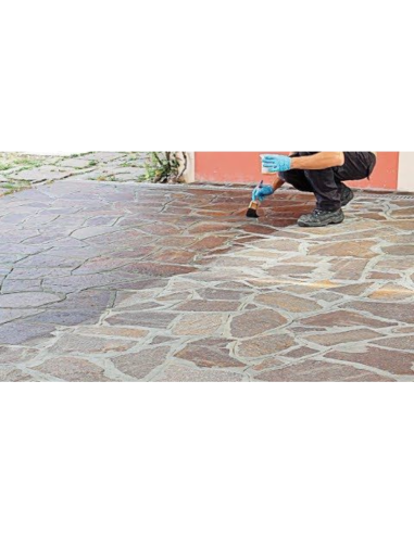 Impregnante Tonalizzante Antimacchia Effetto Bagnato Pavimenti Tono Plus da 1 lt
