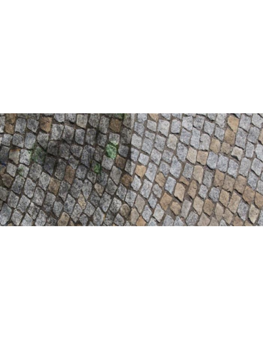 Protettivo Impregnante Tonalizzante Pavimenti in Pietra Imprestone Tono 1 lt