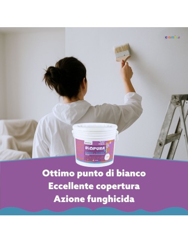 Idropittura Traspirante Antimuffa Interni Bagno Cucina Linea BIOPURA Cromika