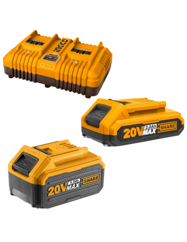 Kit Pack Pro Caricabatterie Doppio Rapido 4Ah + 2 Batterie 20V  5 Ah 2 Ah 