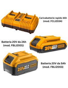 Kit Pack Pro Caricabatterie Doppio Rapido 4Ah + 2 Batterie 20V  5 Ah 2 Ah  2