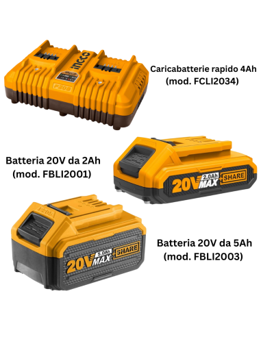 Kit Pack Pro Caricabatterie Doppio Rapido 4Ah + 2 Batterie 20V  5 Ah 2 Ah 