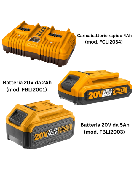 Kit Pack Pro Caricabatterie Doppio Rapido 4Ah + 2 Batterie 20V  5 Ah 2 Ah 