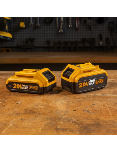 Kit Pack Pro Caricabatterie Doppio Rapido 4Ah + 2 Batterie 20V  5 Ah 2 Ah 