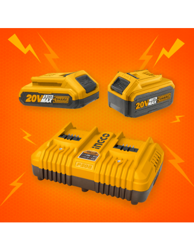 Kit Pack Pro Caricabatterie Doppio Rapido 4Ah + 2 Batterie 20V  5 Ah 2 Ah 
