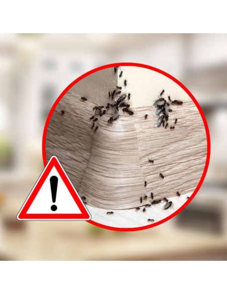 Esca Formiche Insetticida Gel Professionale Eliminazione Colonia Rapida 6 Giorni Ekostop 