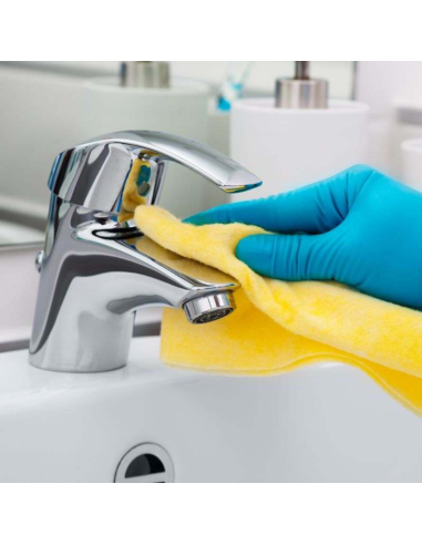 Detergente Disincrostante Profumato CIR SANI Sanitari Area Bagno 500 ml