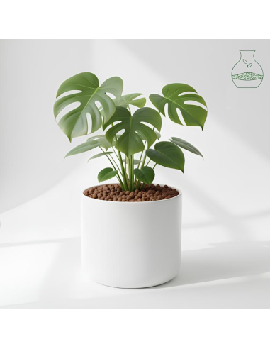 Argilla Espansa Leggera Per Piante 50 L 8-20 mm Pezzi 4