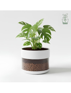 Argilla Espansa Leggera Per Piante 50 L 8-20 mm Pezzi 10 2