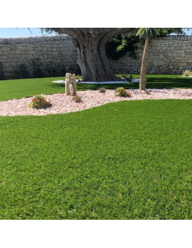 Prato Sintetico Tappeto Erboso Altezza Fili 25 mm Sempre Verde Vendita A Metro