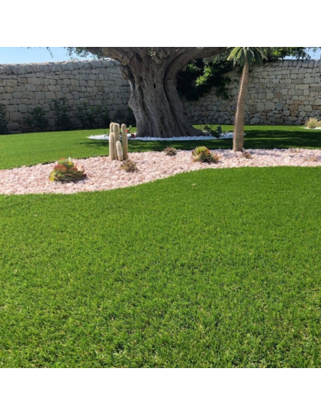 Prato Sintetico Tappeto Erboso Altezza Fili 25 mm Sempre Verde Vendita A Metro