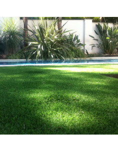 Prato Sintetico Tappeto Erboso Altezza Fili 45 mm Sempre Verde Vendita A Metro