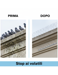 Dissuasore Volatili Punte Acciaio Inox Per Esterni 2