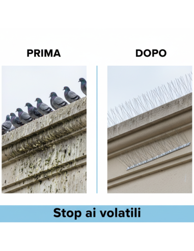 Dissuasore Volatili Punte Acciaio Inox Per Esterni