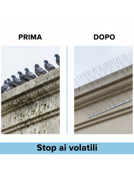 Dissuasore Volatili Punte Acciaio Inox Per Esterni