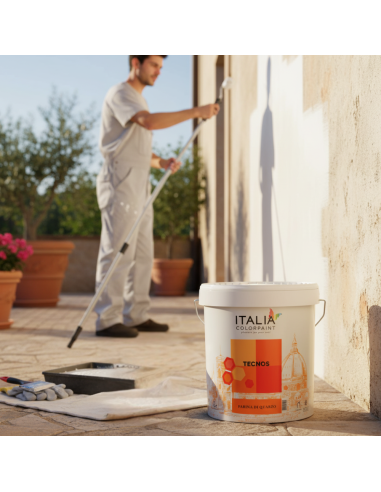 Tecnos Le Classiche Idropittura Farina di Quarzo Acrilica Idrorepellente Italia ColorPaint - foto 7