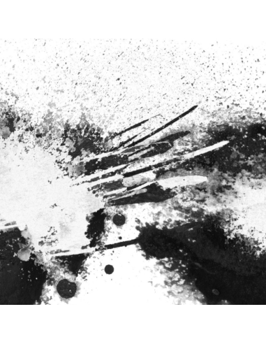 Sbiancafumo Idropittura Murale Acrilica Bianca Coprente Antimacchia Antialone