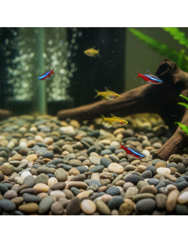 Kit Ciottoli Grigio Ghedi E Cir Tono Plus Effetto Bagnato