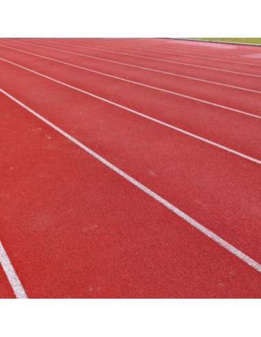 Pittura Acrilica Sportcolor Per Superfici Sportive Italia ColorPaint - foto 8