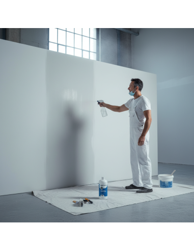 Muffa Control Risanante Trattamento Per Superfici Interne Ed Esterne 1 Lt