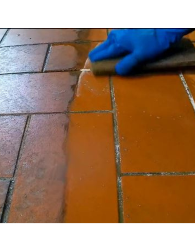 Solvente Decerante per Rimozione Trattamenti da Pavimentazione Decersolvente Extra da 1 litri 