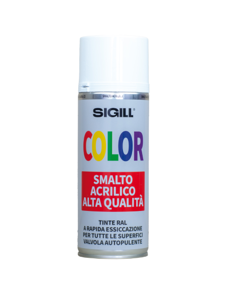 Color Smalto Acrilico Spray Di Alta Qualità Per Tutte Le Superfici 400 ml