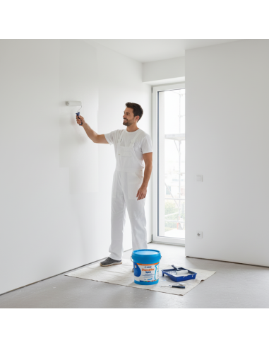 Idropittura Traspirante Resistente Alla Muffa Dursilite Igea