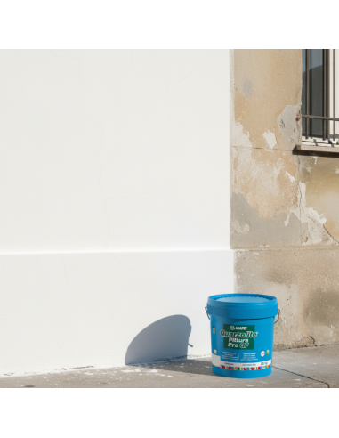 Quarzolite Pittura Pro Gf Mapei Resistente Per Esterni E Interni
