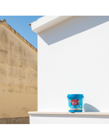 Silancolor Ac Pittura Pro Gf  Per Esterni E Interni