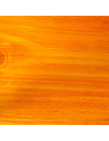 Fondo Funghicida Alchidico Per Legno Interno Ed Esterno