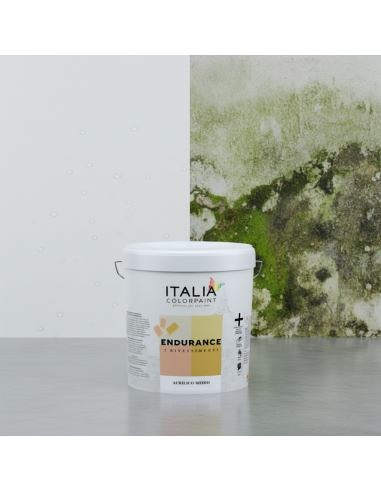 Endurance Rasato Acrilico Medio Per Facciate Esterne Italia ColorPaint - foto 3