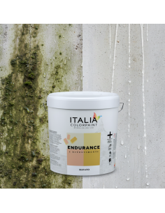 Endurance Rasato Acrilico 0,7 Rivestimento Spatolato Antialga 2