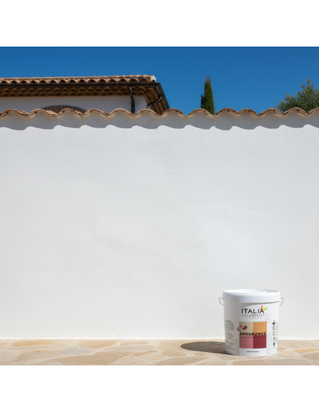 Rivestimento Spatolato Acrilsilossanico 0.7 Antialga Per Esterni