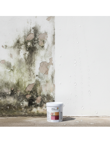 Rivestimento Spatolato Acrilsilossanico 0.7 Antialga Per Esterni