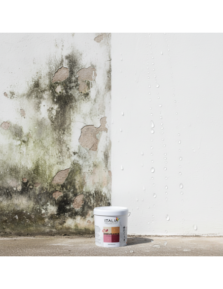 Rivestimento Spatolato Acrilsilossanico 0.7 Antialga Per Esterni