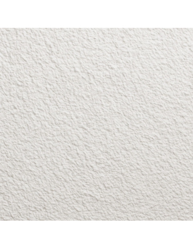 Dekorlux Bucciato Plastico Lucido Rivestimento Superbianco Per Interni Italia ColorPaint - foto 2