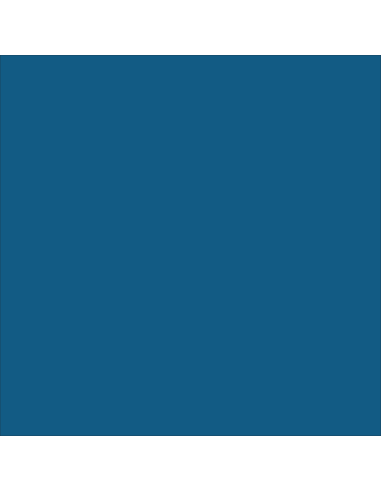 Pittura Acrilica Duraltennis Per Campi Sportivi Colore Blu Italia ColorPaint - foto 6
