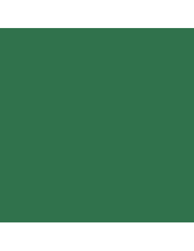 Pittura Acrilica Duraltennis Per Campi Sportivi Colore Verde Italia ColorPaint - foto 6