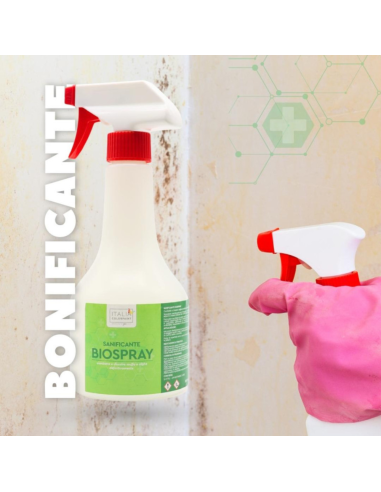 Biospray Soluzione Bonificante Antimuffa E Antialga Per Pareti Interne Ed Esterne