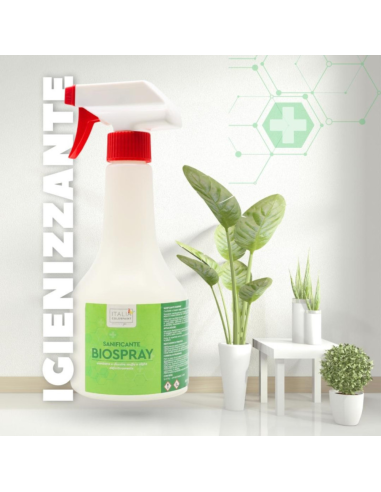 Biospray Soluzione Bonificante Antimuffa E Antialga Per Pareti Interne Ed Esterne